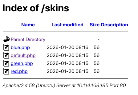 skins_dir
